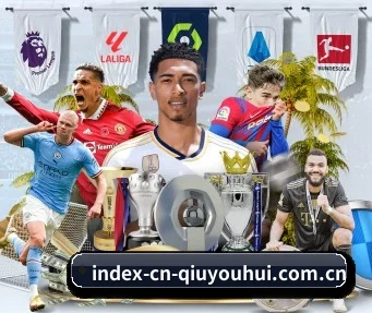 index-cn-qiuyouhui.com.cn APP