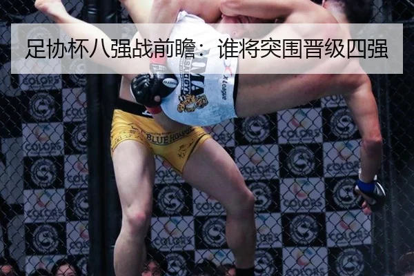 足协杯八强战前瞻：谁将突围晋级四强